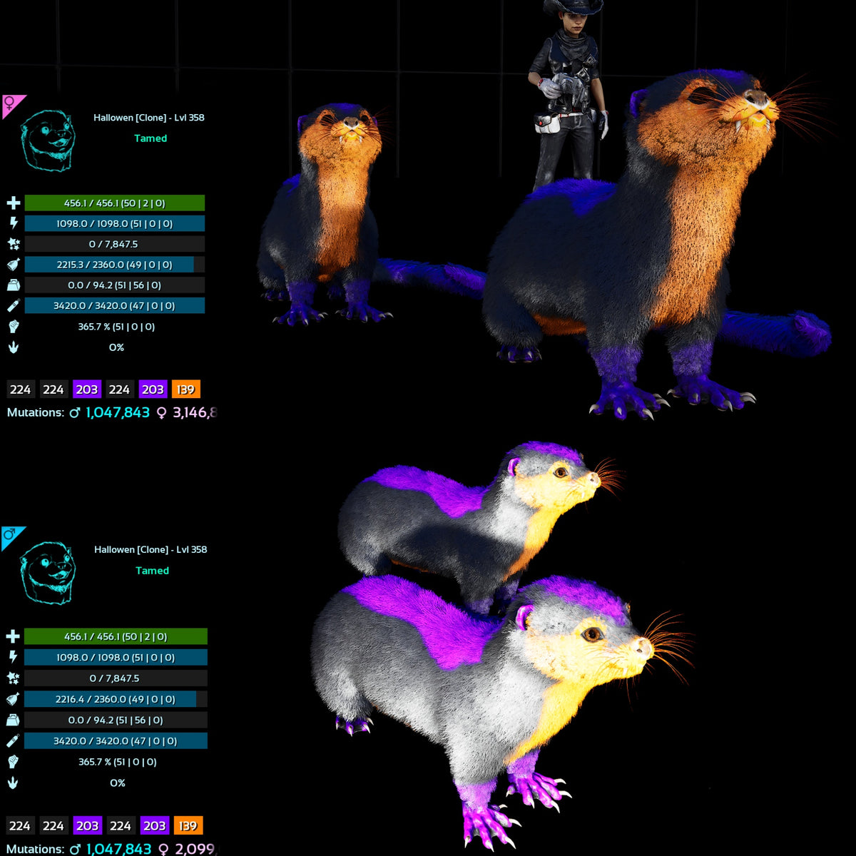 Halloween Dino Pairs Clone