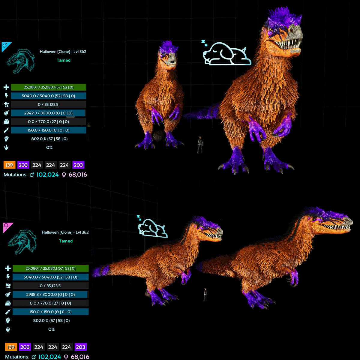 Halloween Dino Pairs Clone