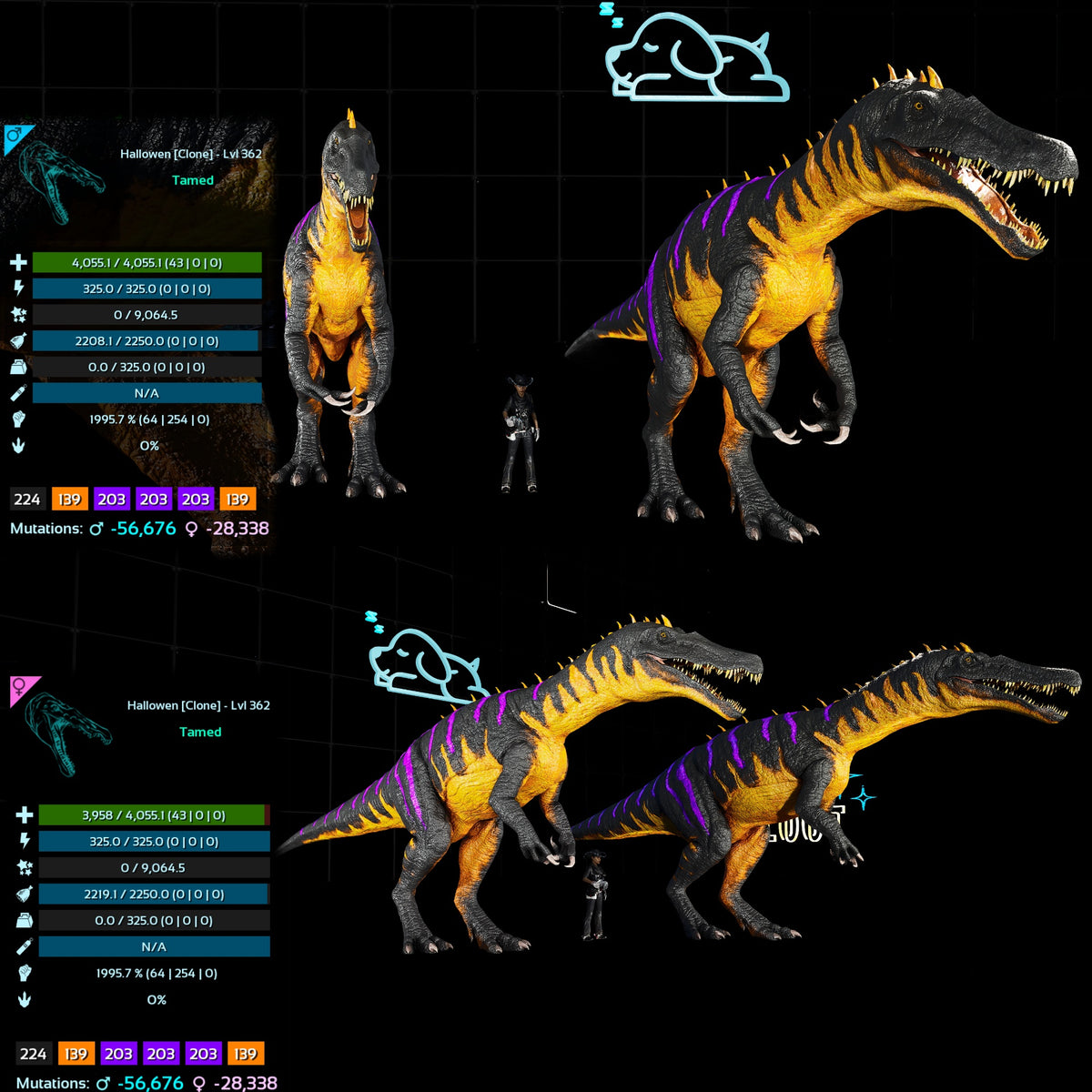 Halloween Dino Pairs Clone