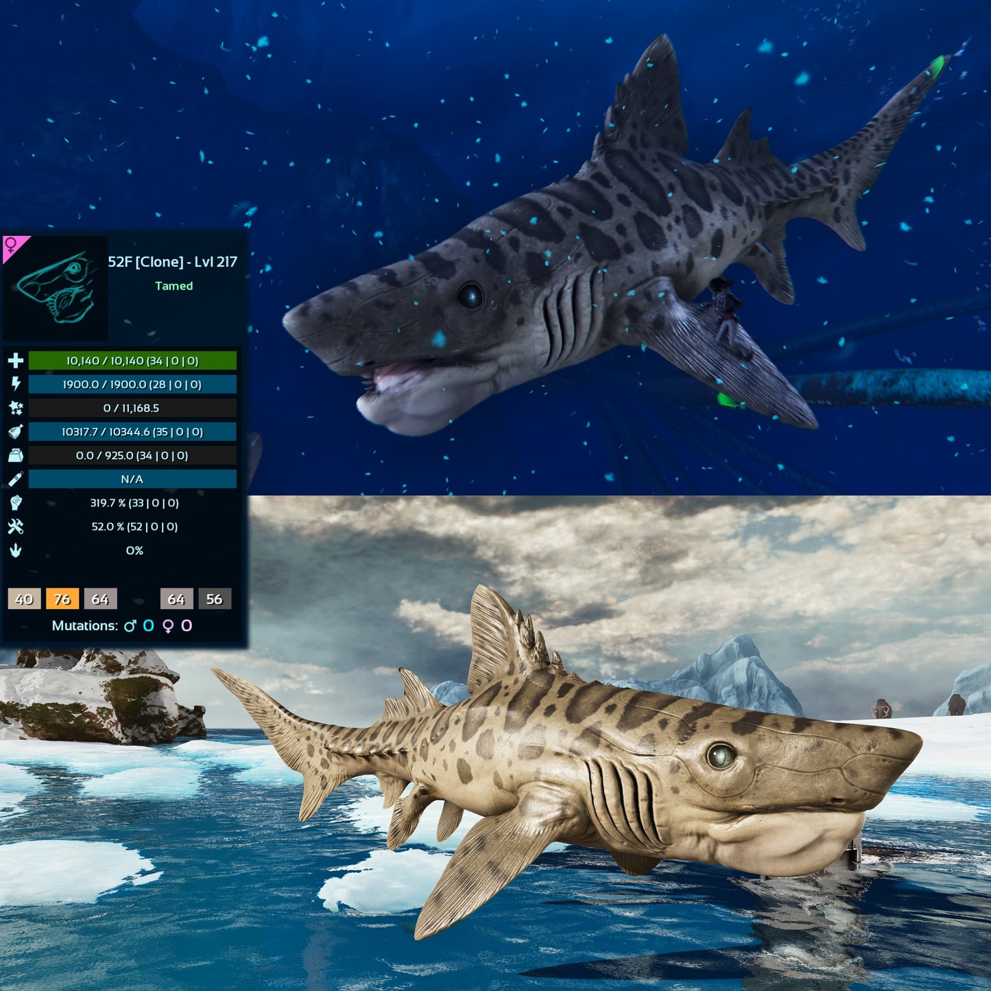 Helicoprion Clone