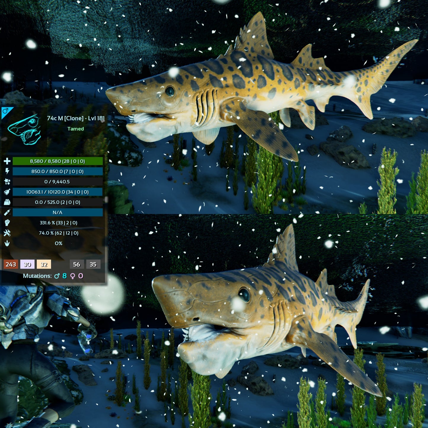 Helicoprion Clone