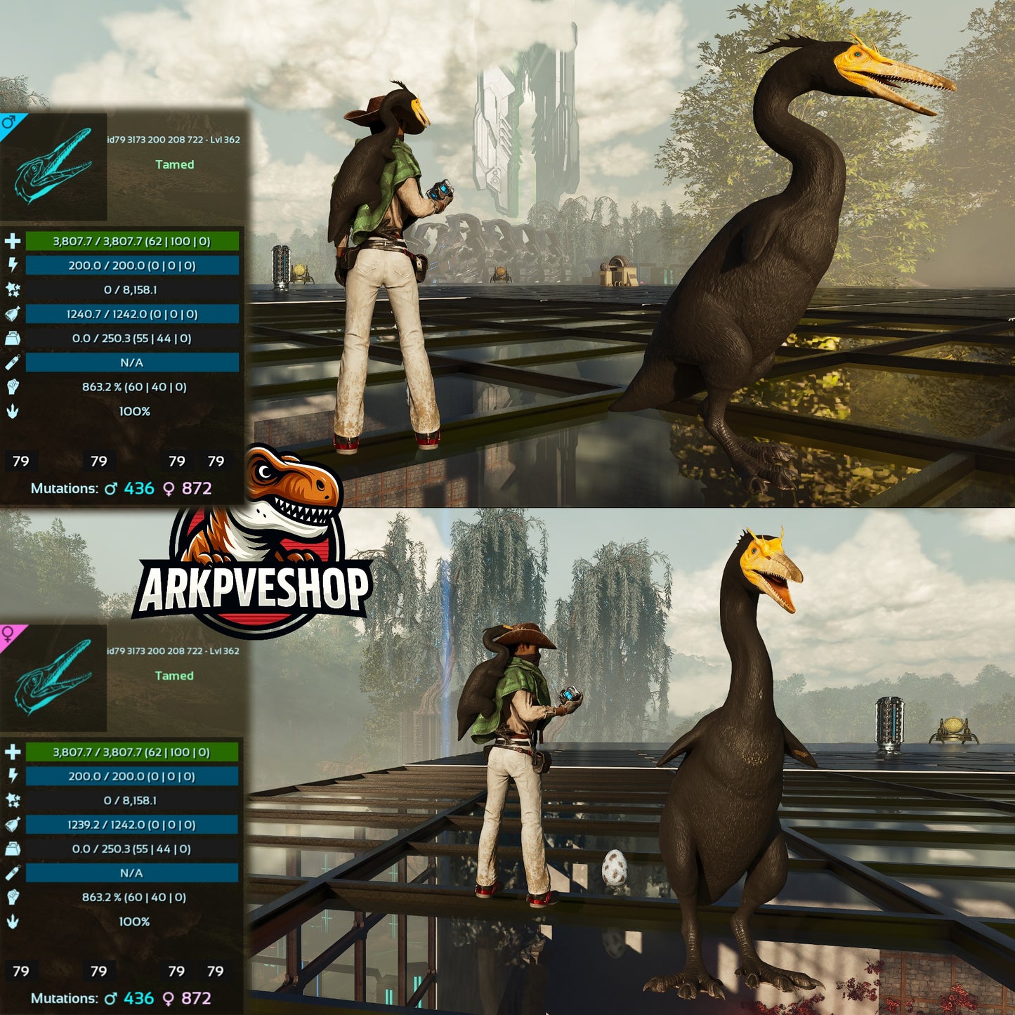 Hesperonis 863.2%melee Golden egg farmer