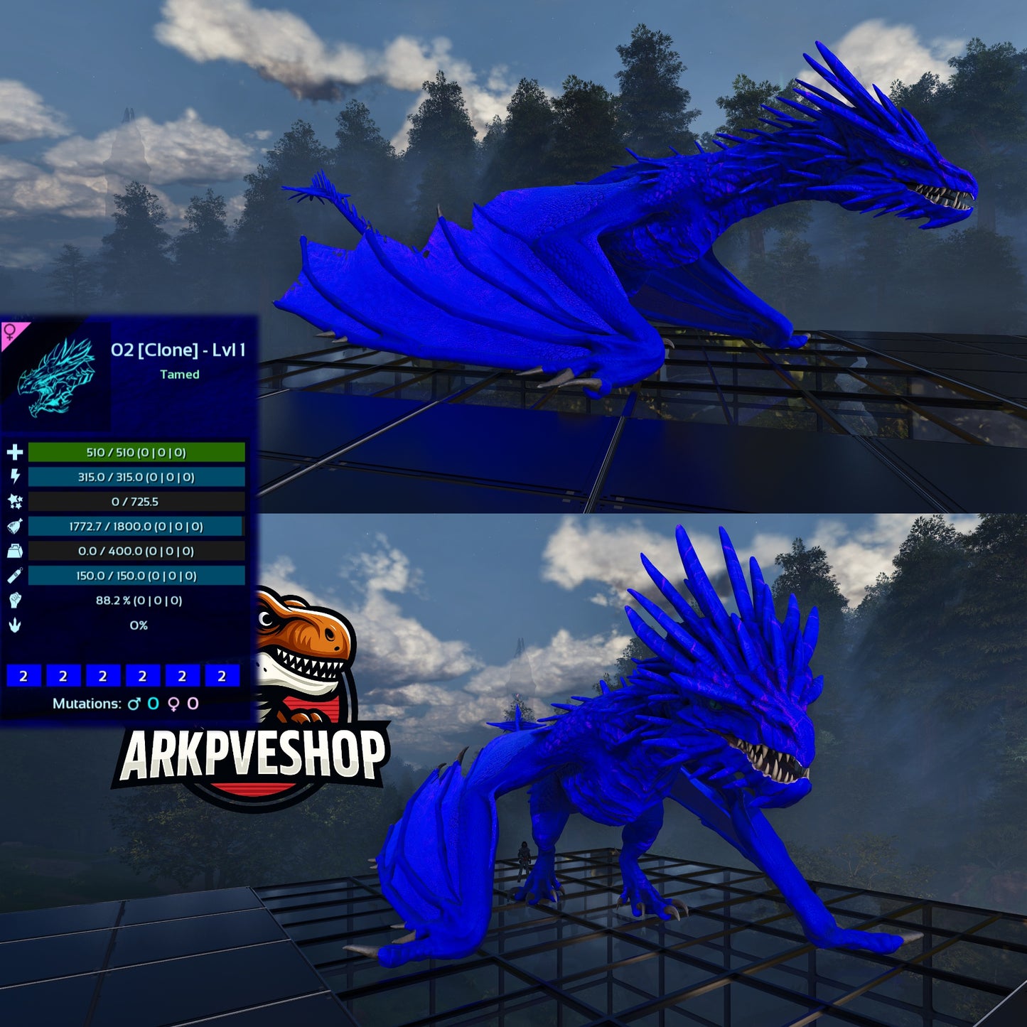 Ice wyvern Lvl 1 Clone