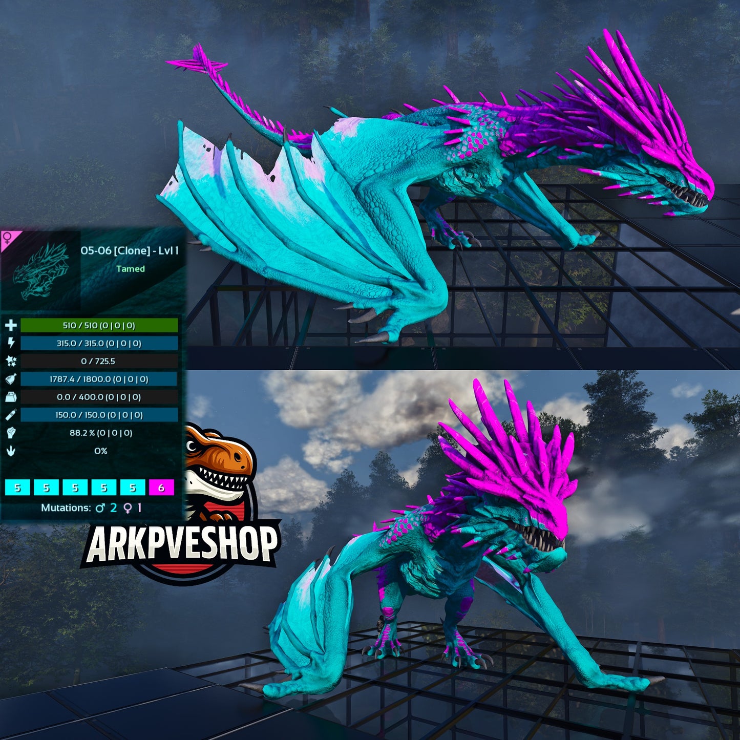Ice wyvern Lvl 1 Clone