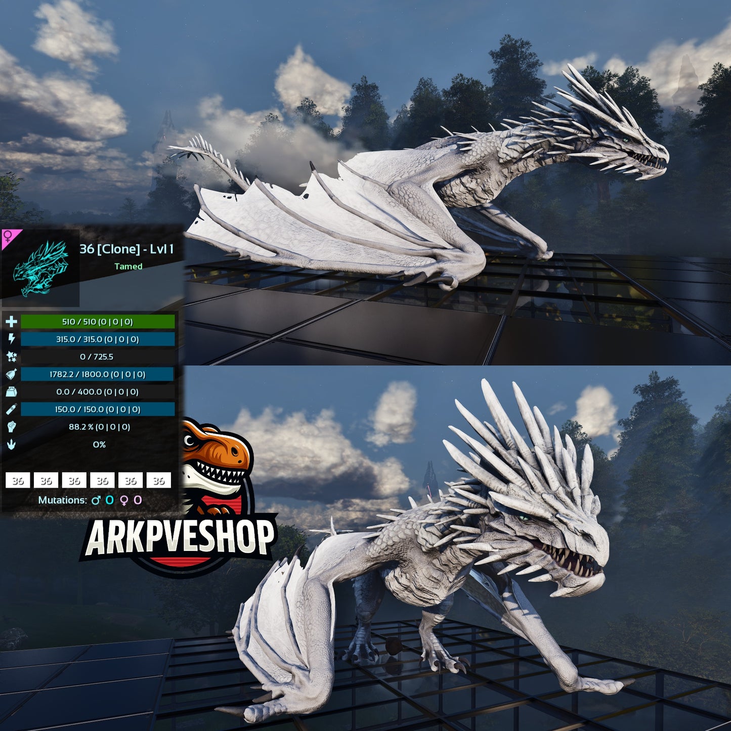 Ice wyvern Lvl 1 Clone