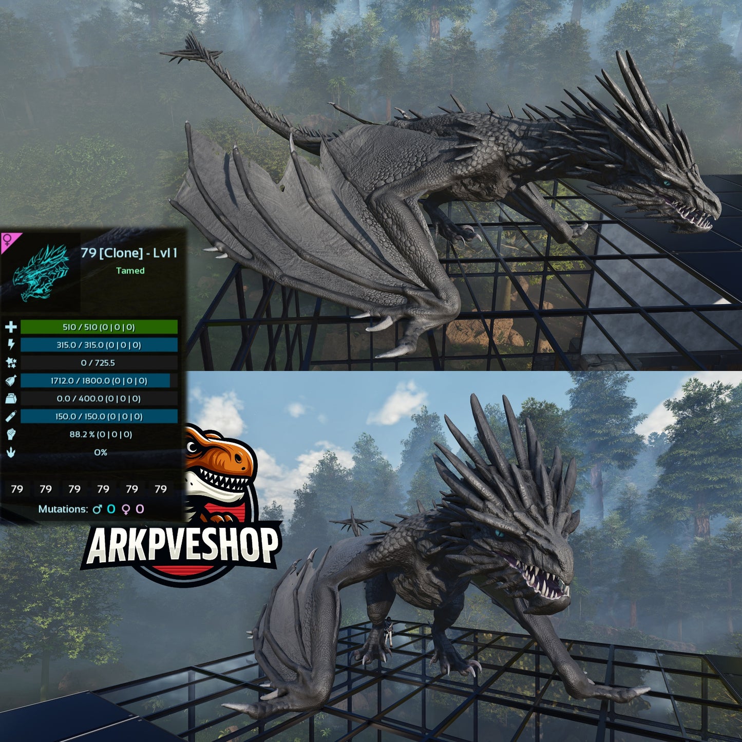 Ice wyvern Lvl 1 Clone