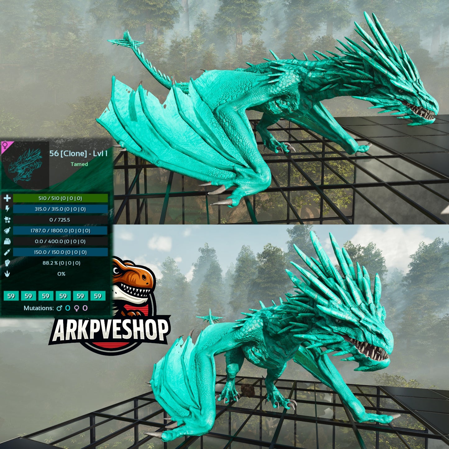 Ice wyvern Lvl 1 Clone