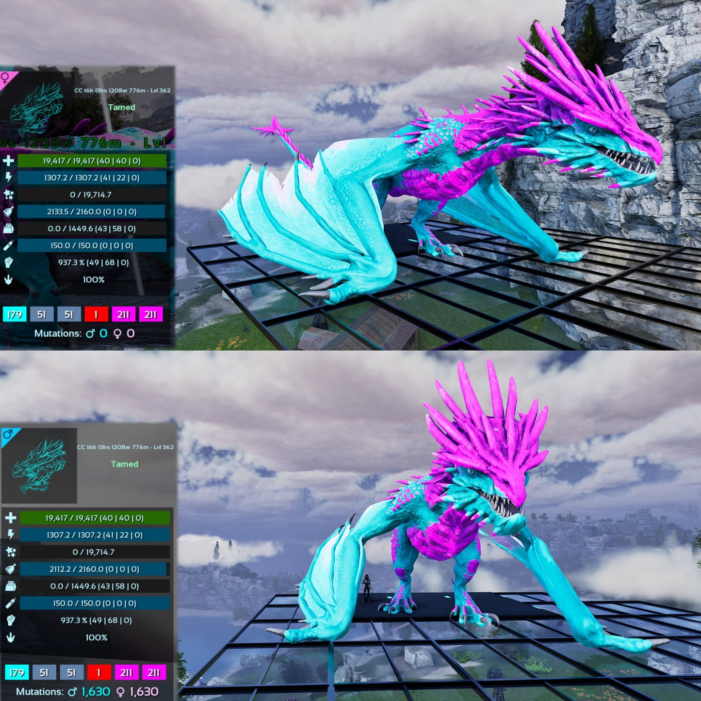 Ice Wyvern 362Lvl Imprinted Many Colours