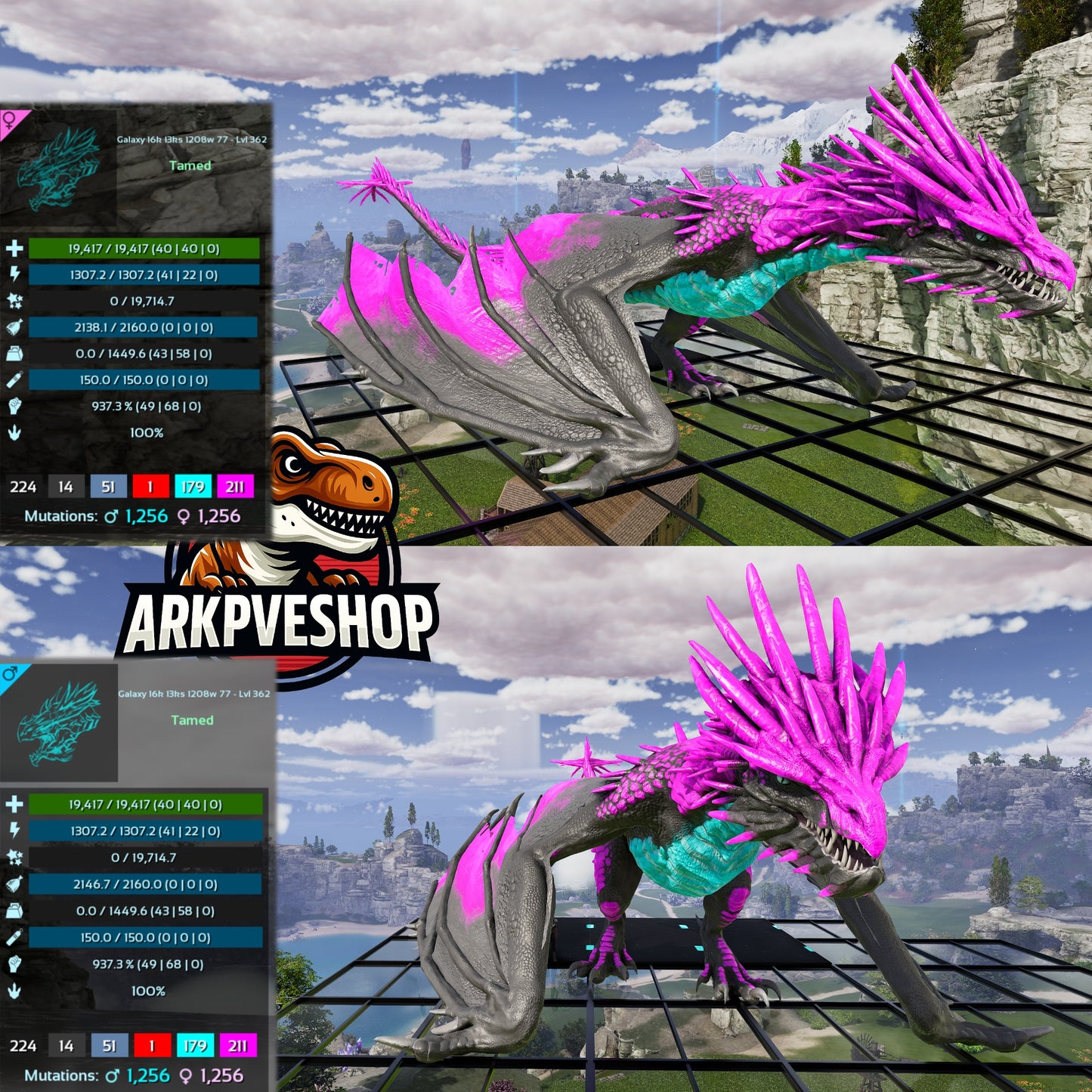 Ice Wyvern 362Lvl Imprinted Many Colours
