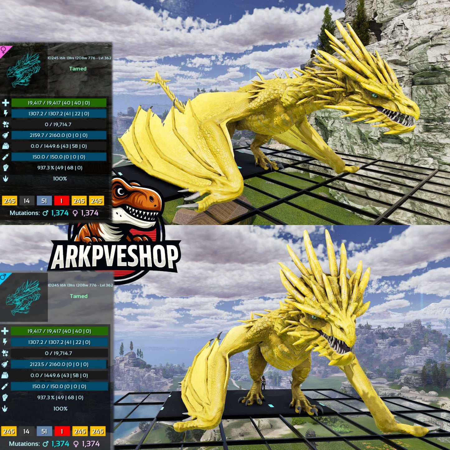 Ice Wyvern 362Lvl Imprinted Many Colours