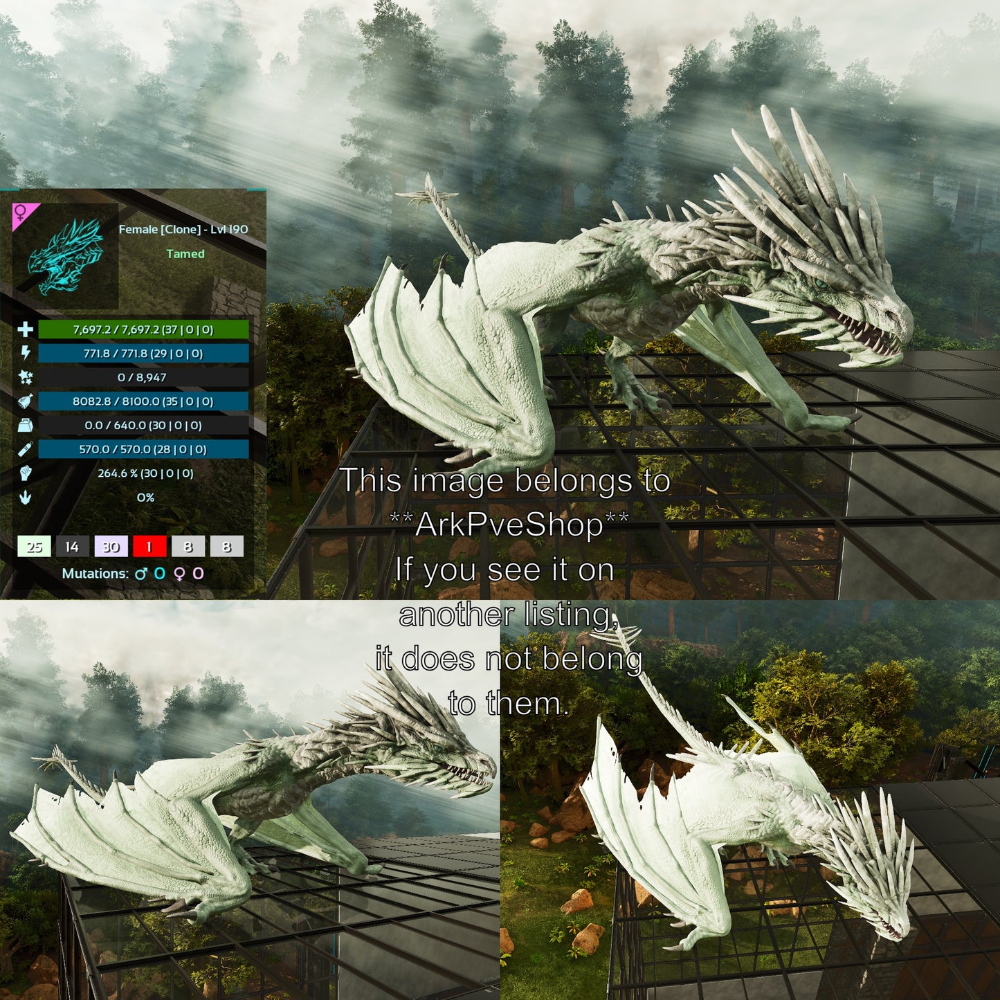 Ice Wyvern Clone High LVL Dragon