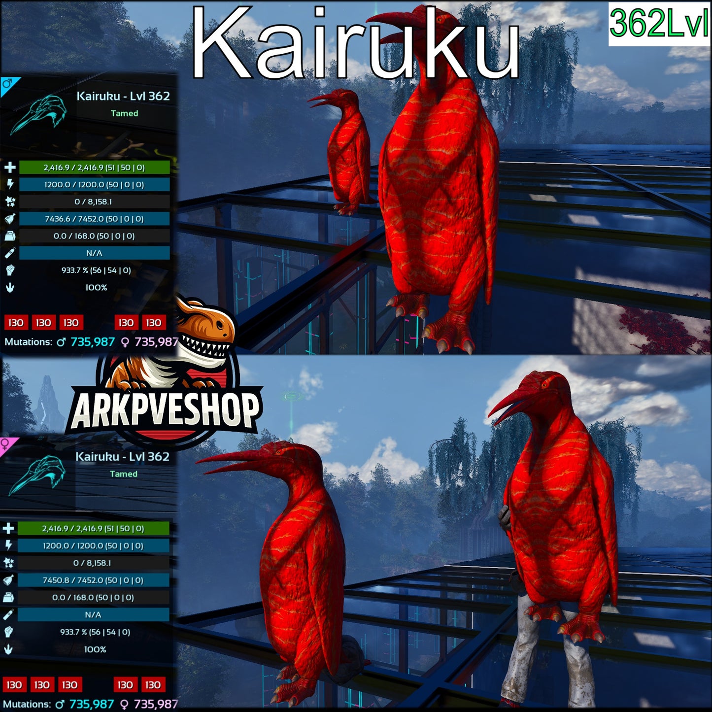 Kairuku Lvl 362