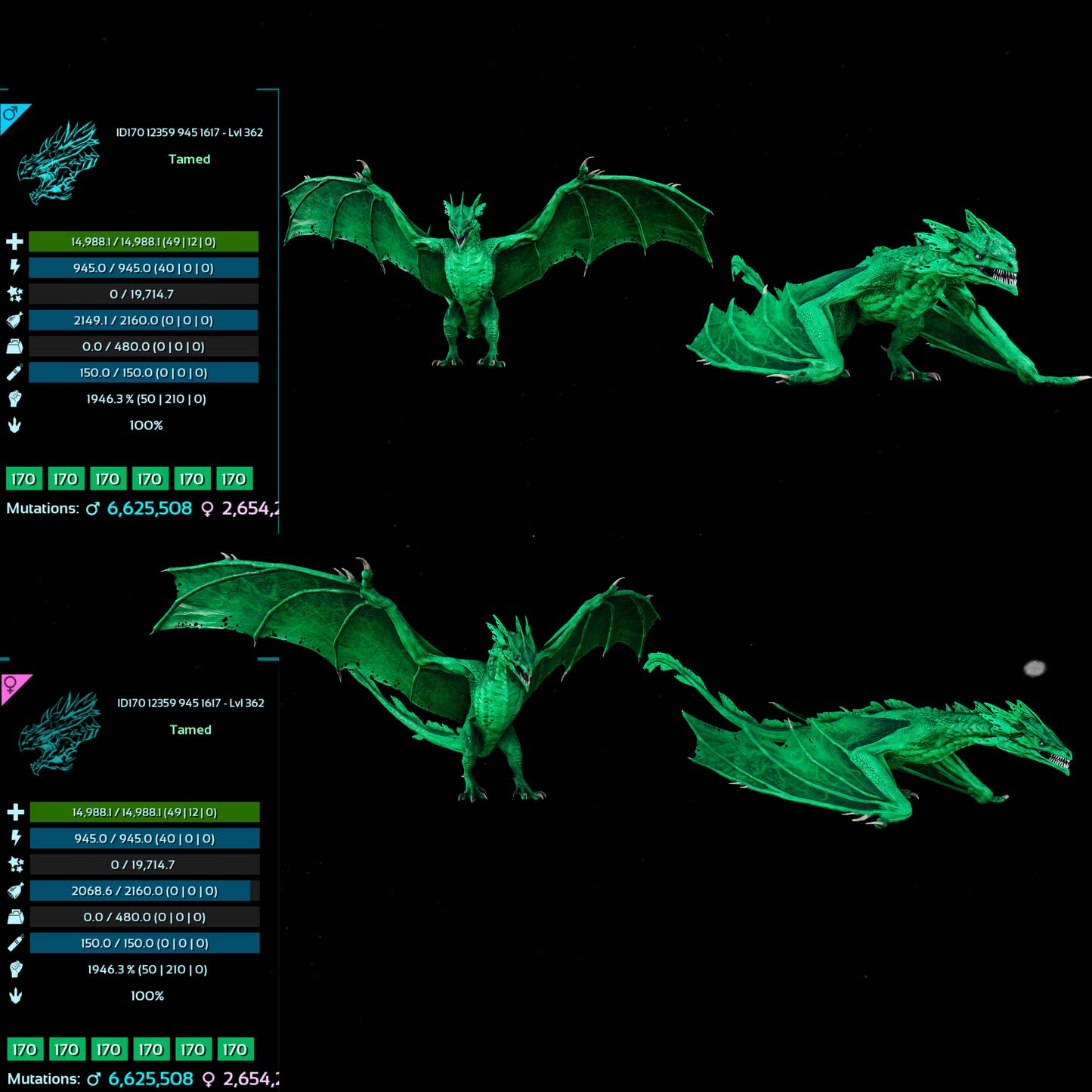 Lightning wyvern 14988Hp 1946%M / 10326Hp 2087%M