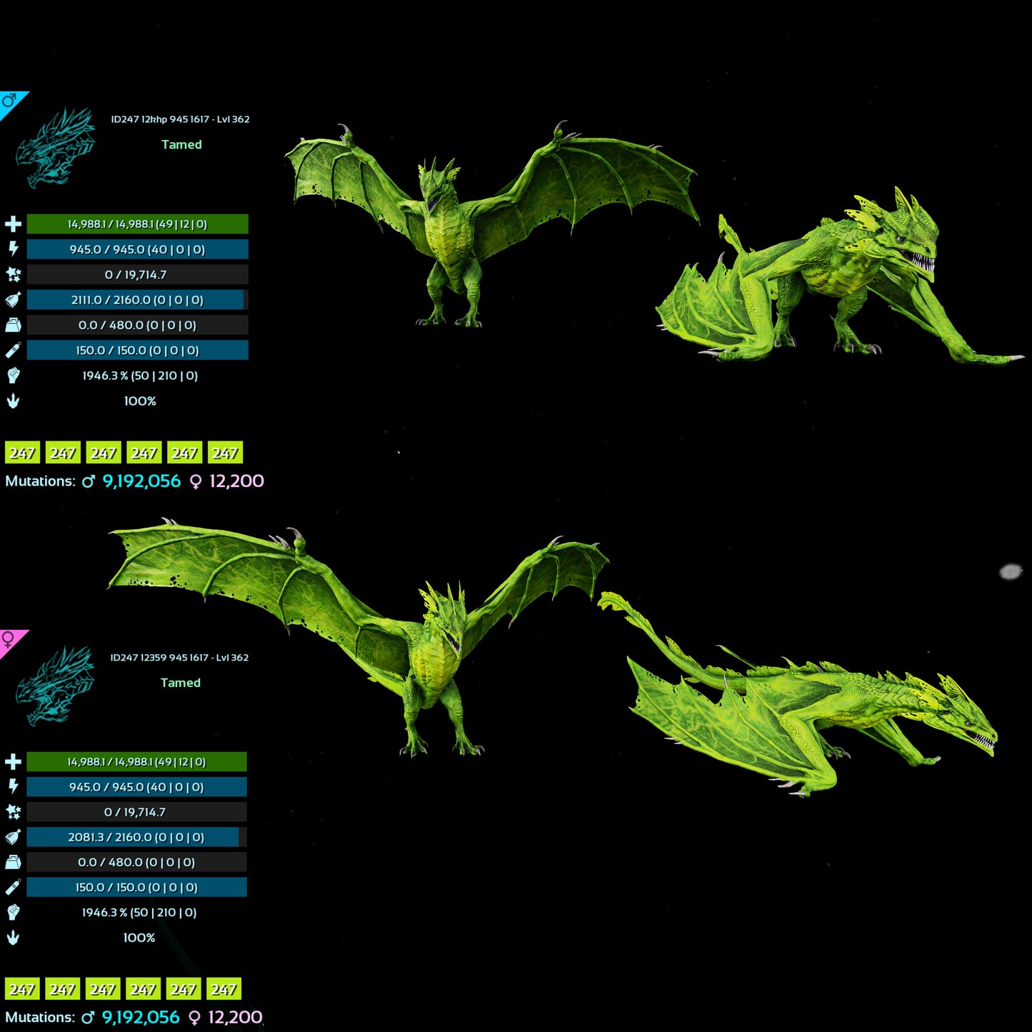 Lightning wyvern 14988Hp 1946%M / 10326Hp 2087%M
