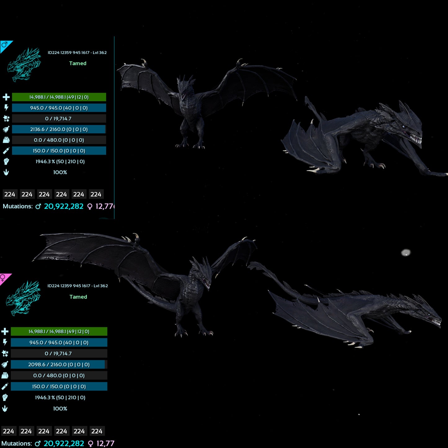 Lightning wyvern 14988Hp 1946%M / 10326Hp 2087%M