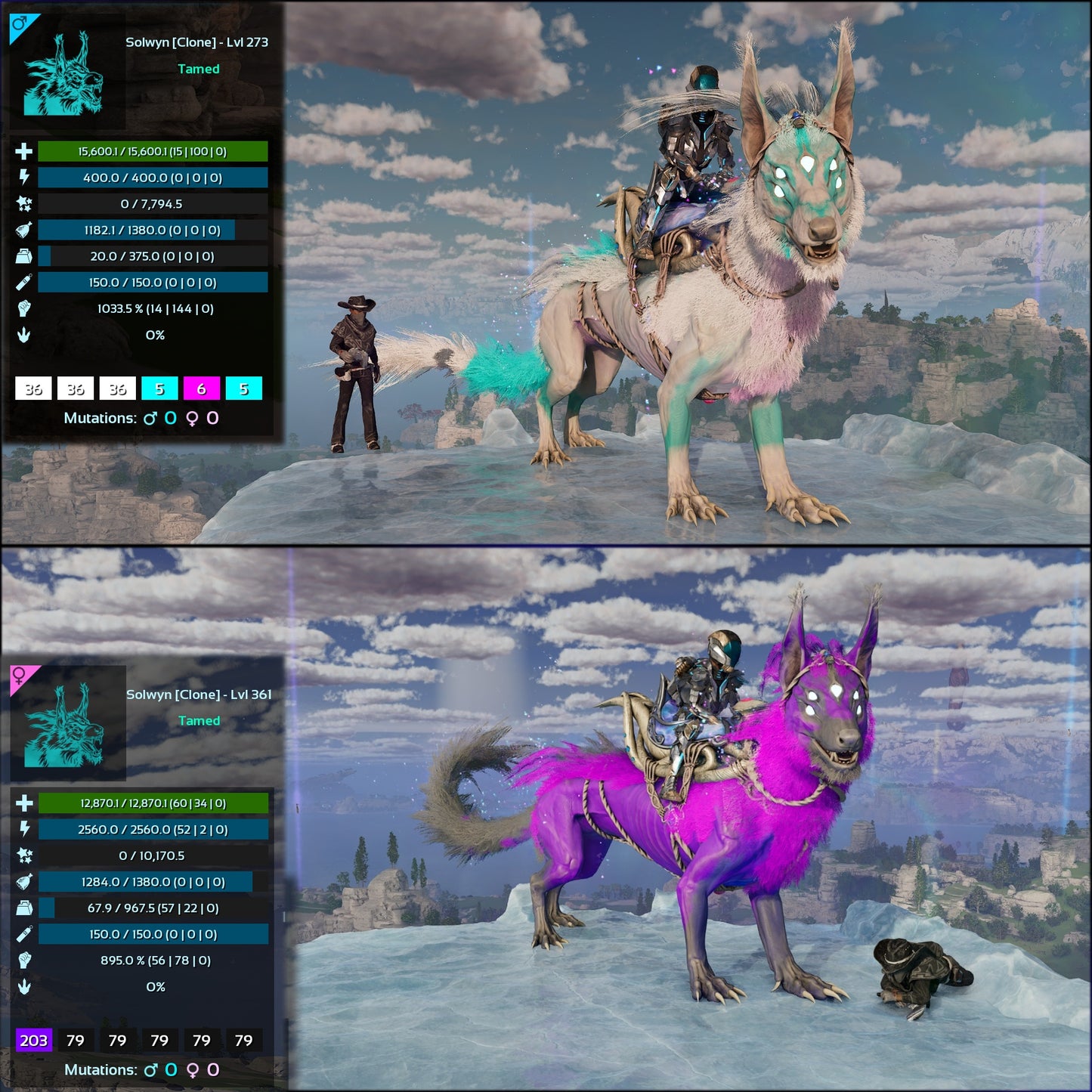Solwyn High Lvl Clone