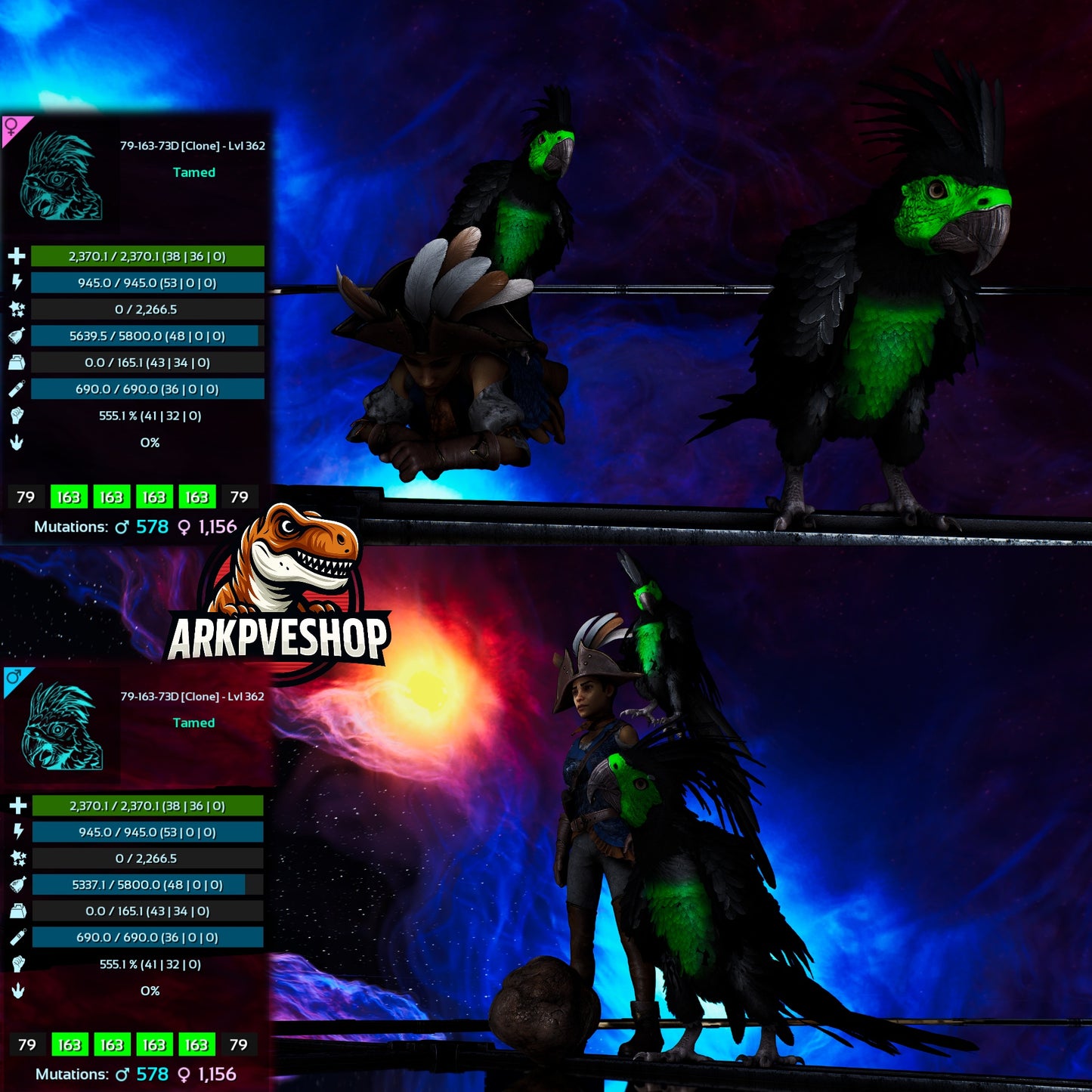 Parrot Lvl 362 Clone