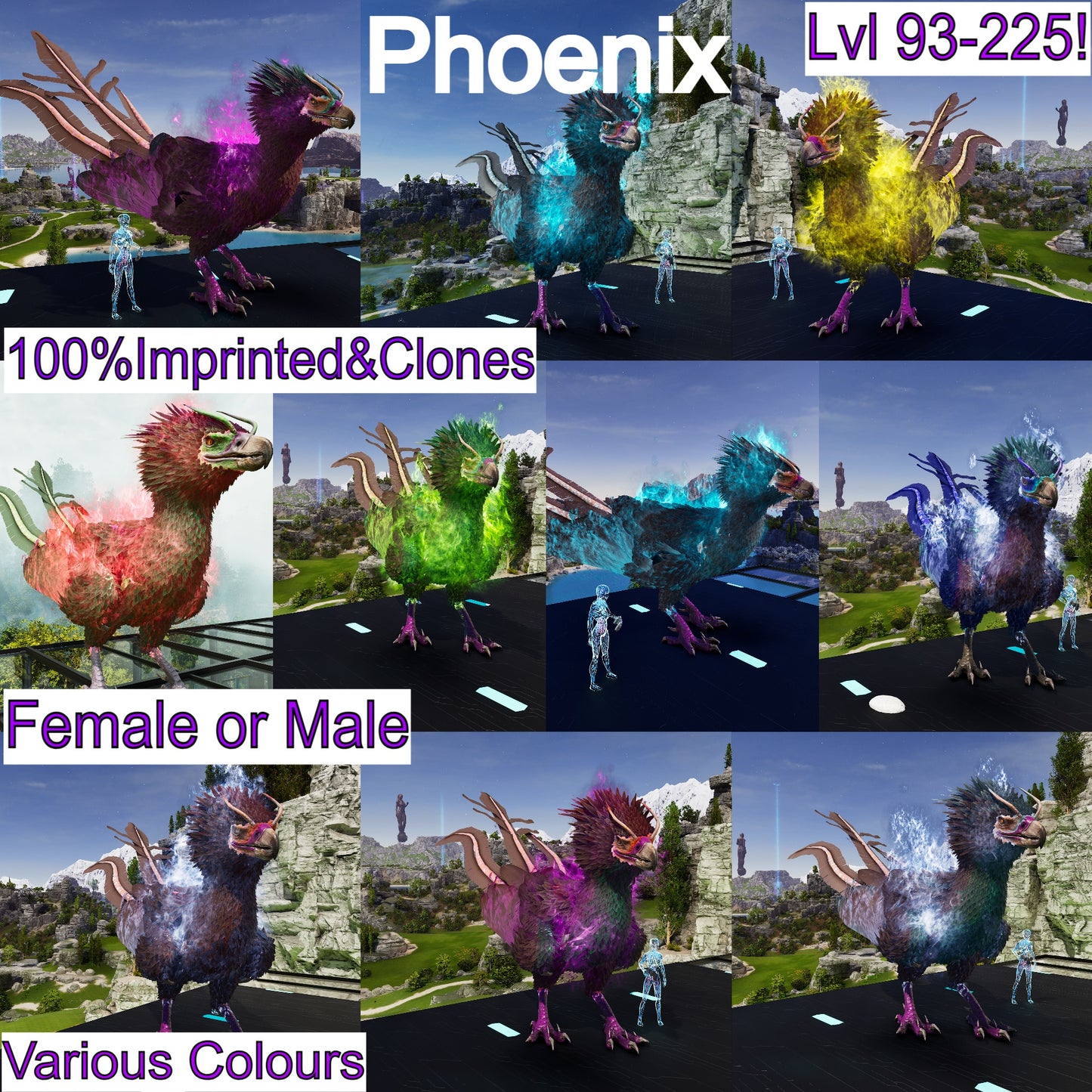 Phoenix High LVL Imprinted and Clones