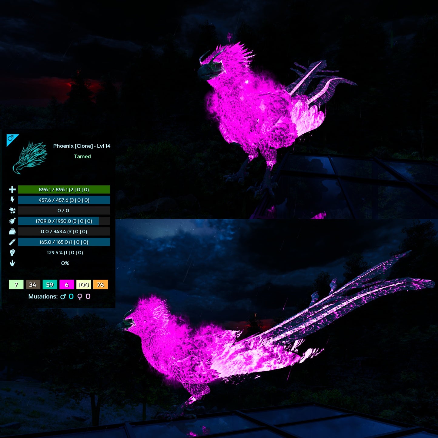 Phoenix Mix Colours - Clone / Low Level