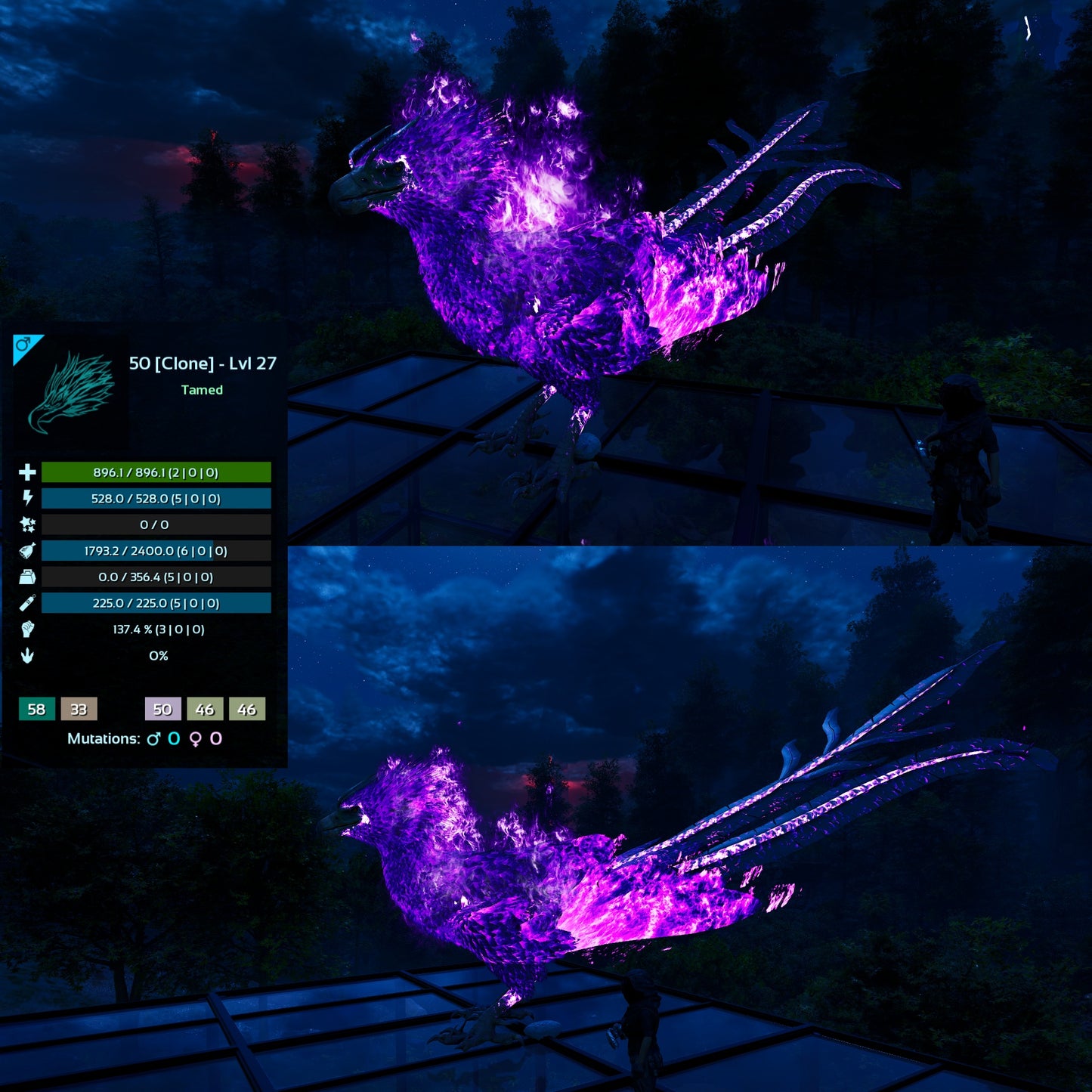 Phoenix Mix Colours - Clone / Low Level