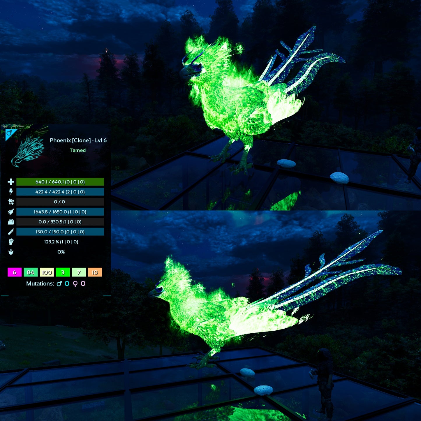 Phoenix Mix Colours - Clone / Low Level
