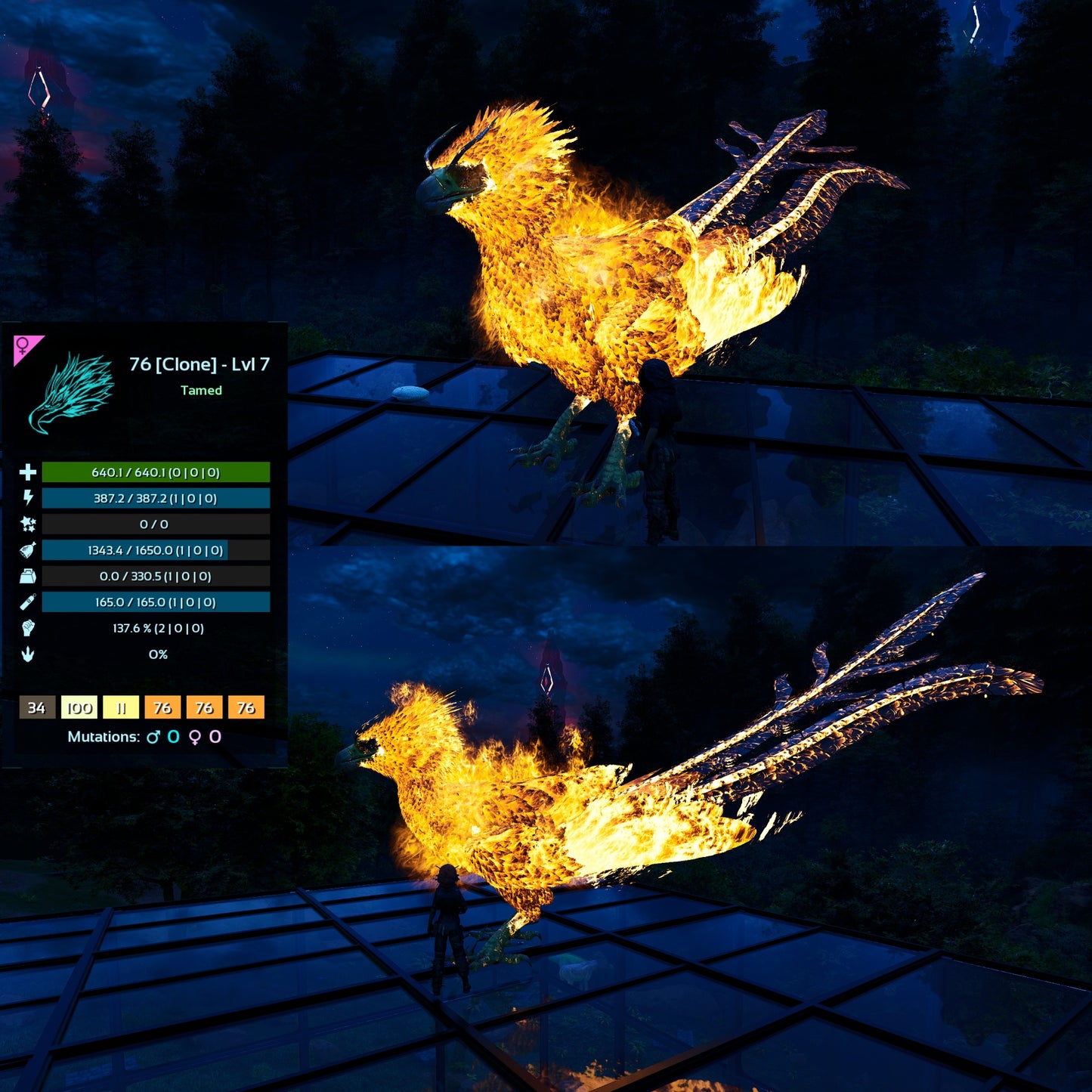 Phoenix Mix Colours - Clone / Low Level
