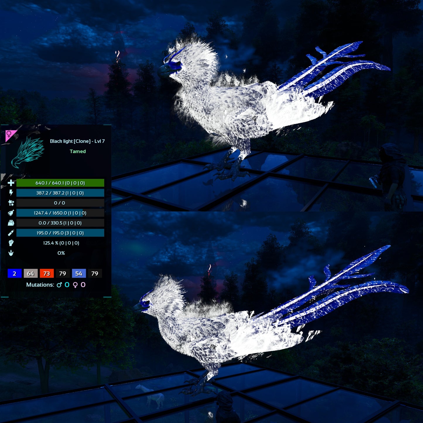 Phoenix Mix Colours - Clone / Low Level