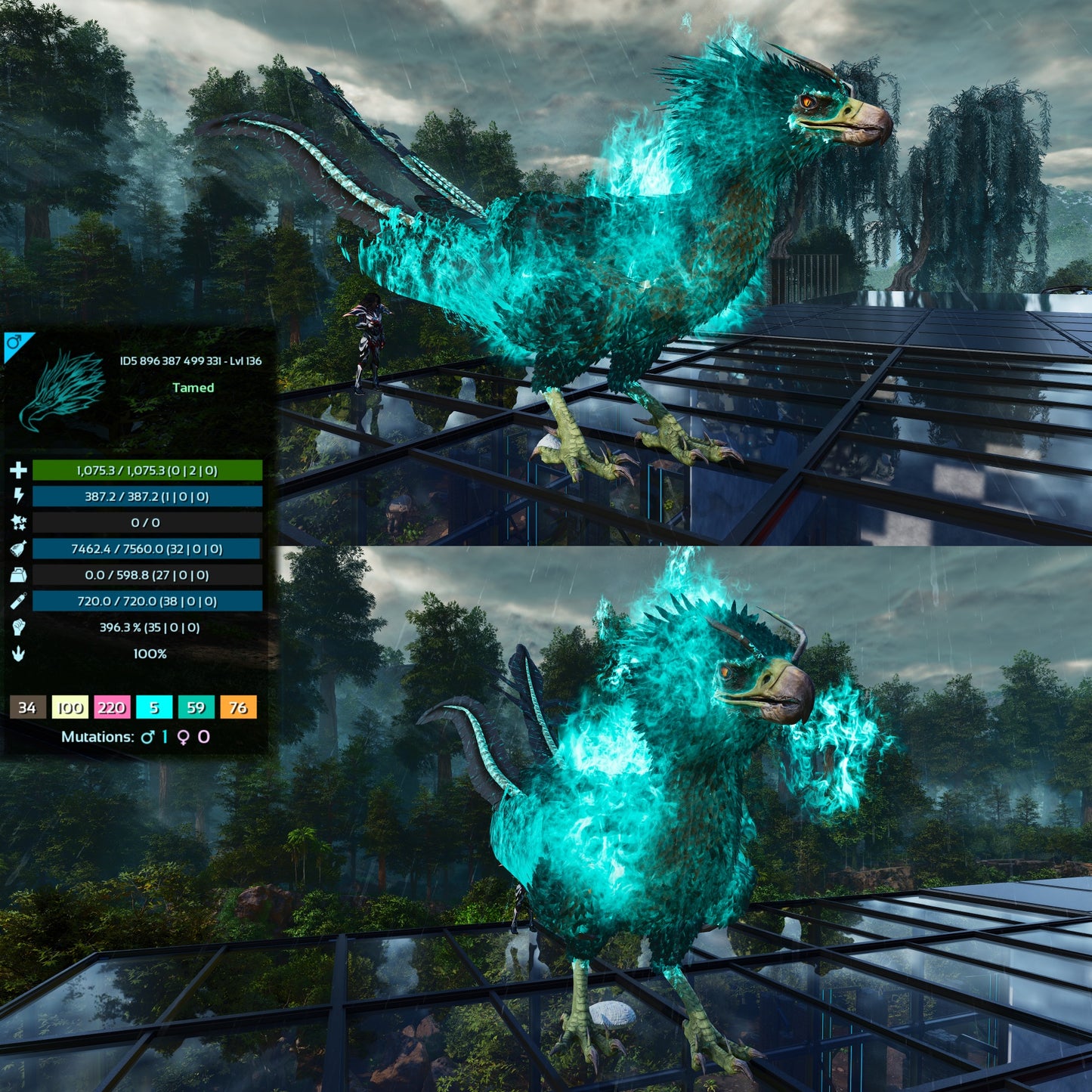 Phoenix High LVL Imprinted and Clones