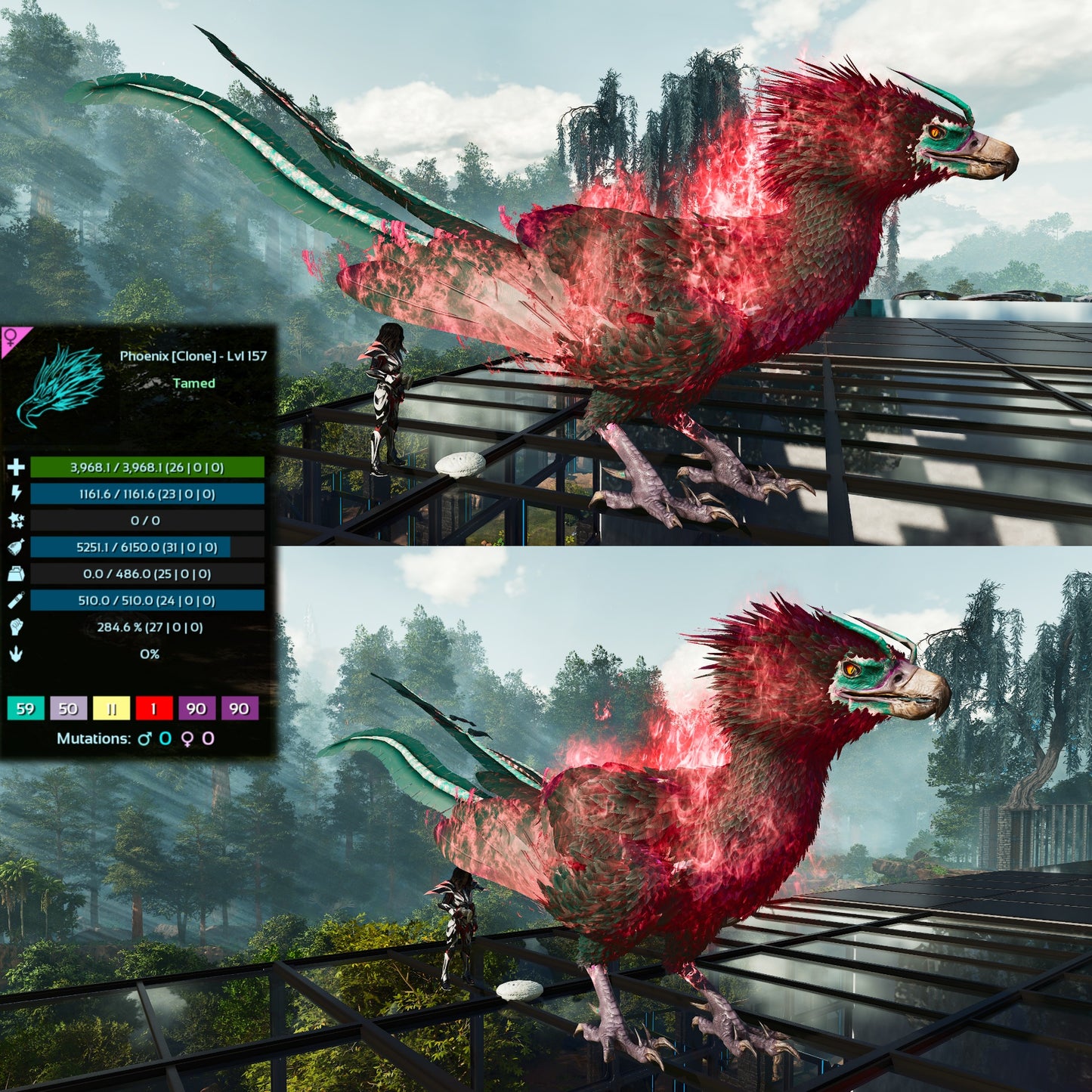 Phoenix High LVL Imprinted and Clones