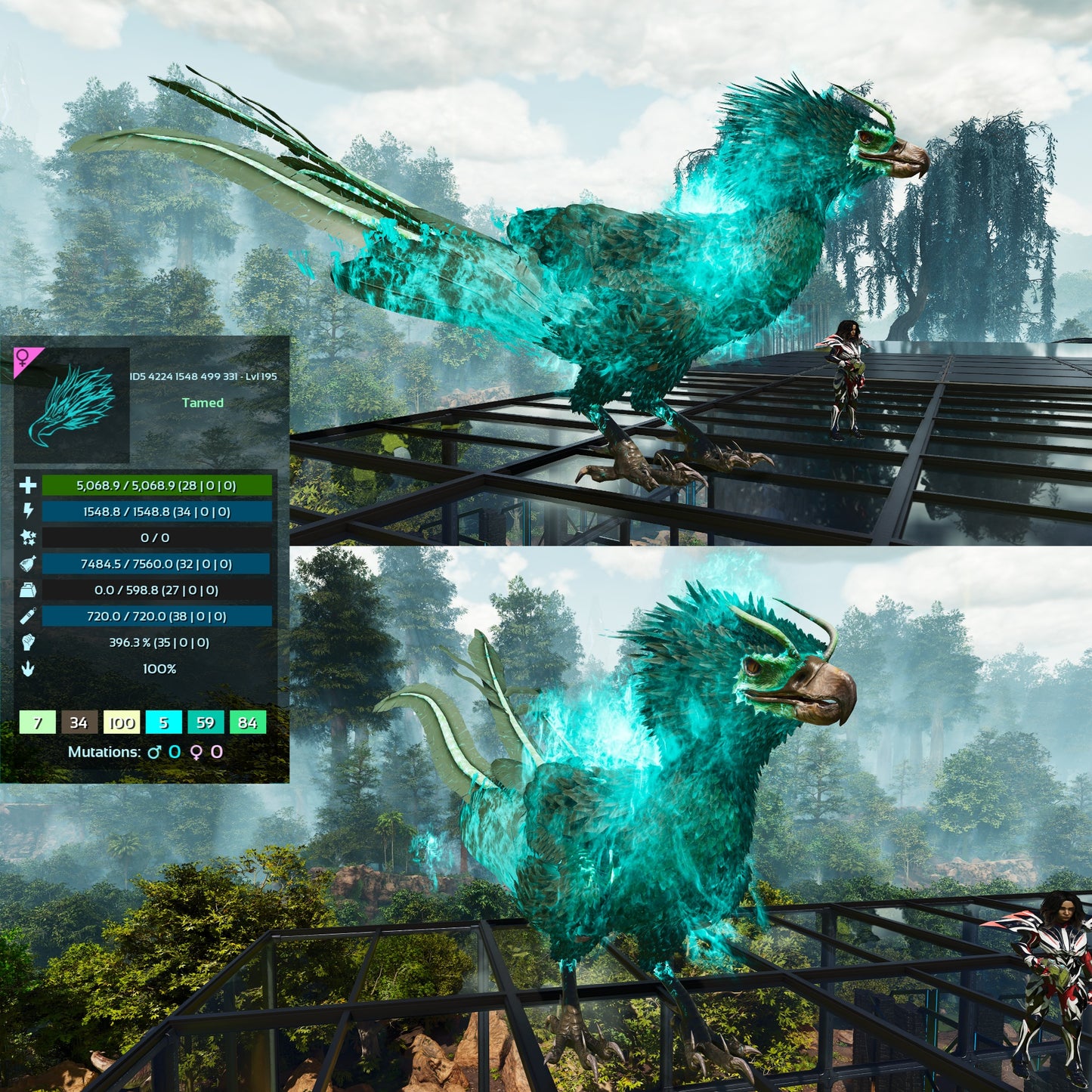 Phoenix High LVL Imprinted and Clones