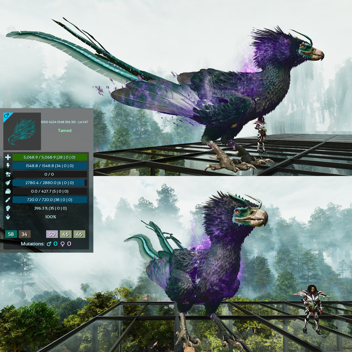Phoenix High LVL Imprinted and Clones