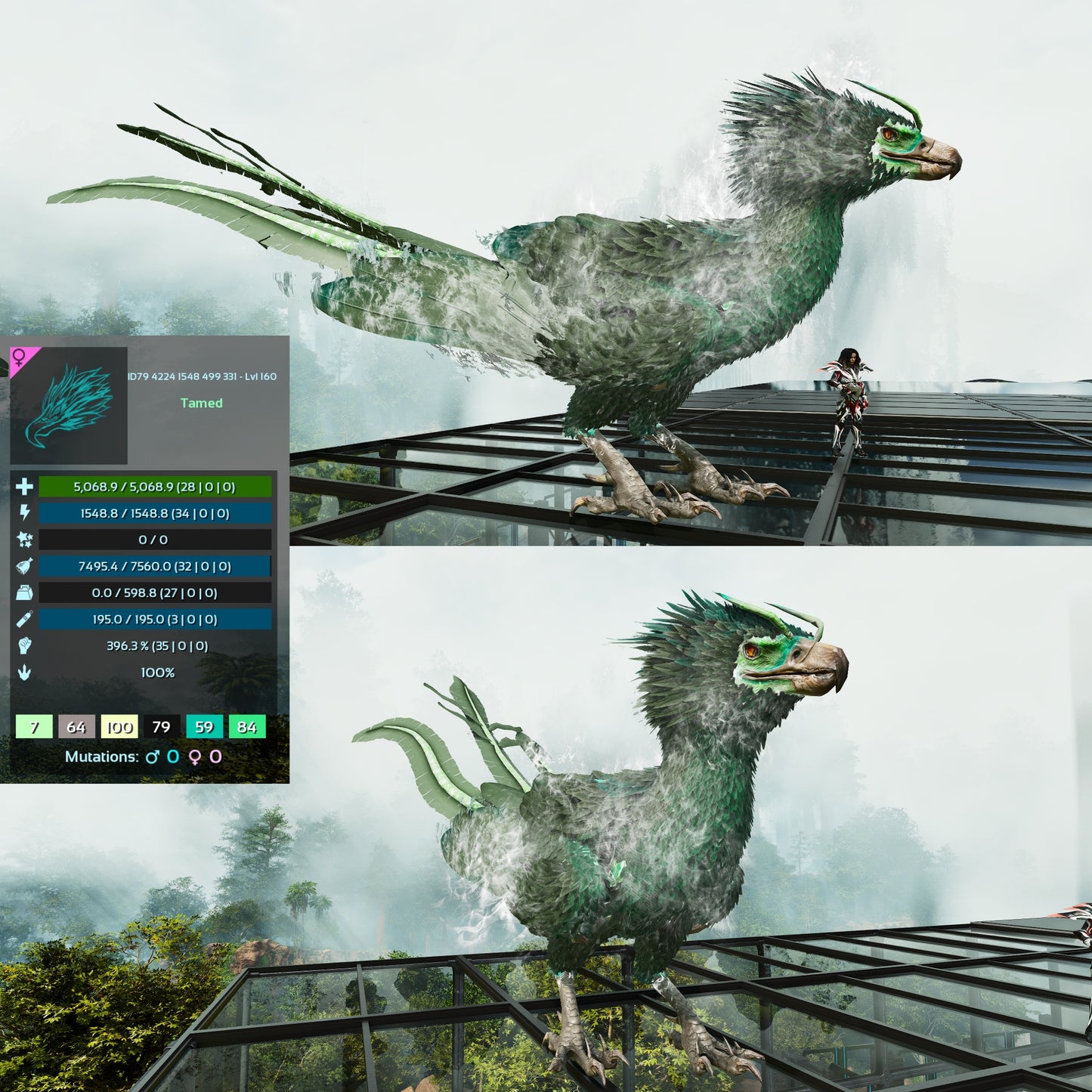 Phoenix High LVL Imprinted and Clones