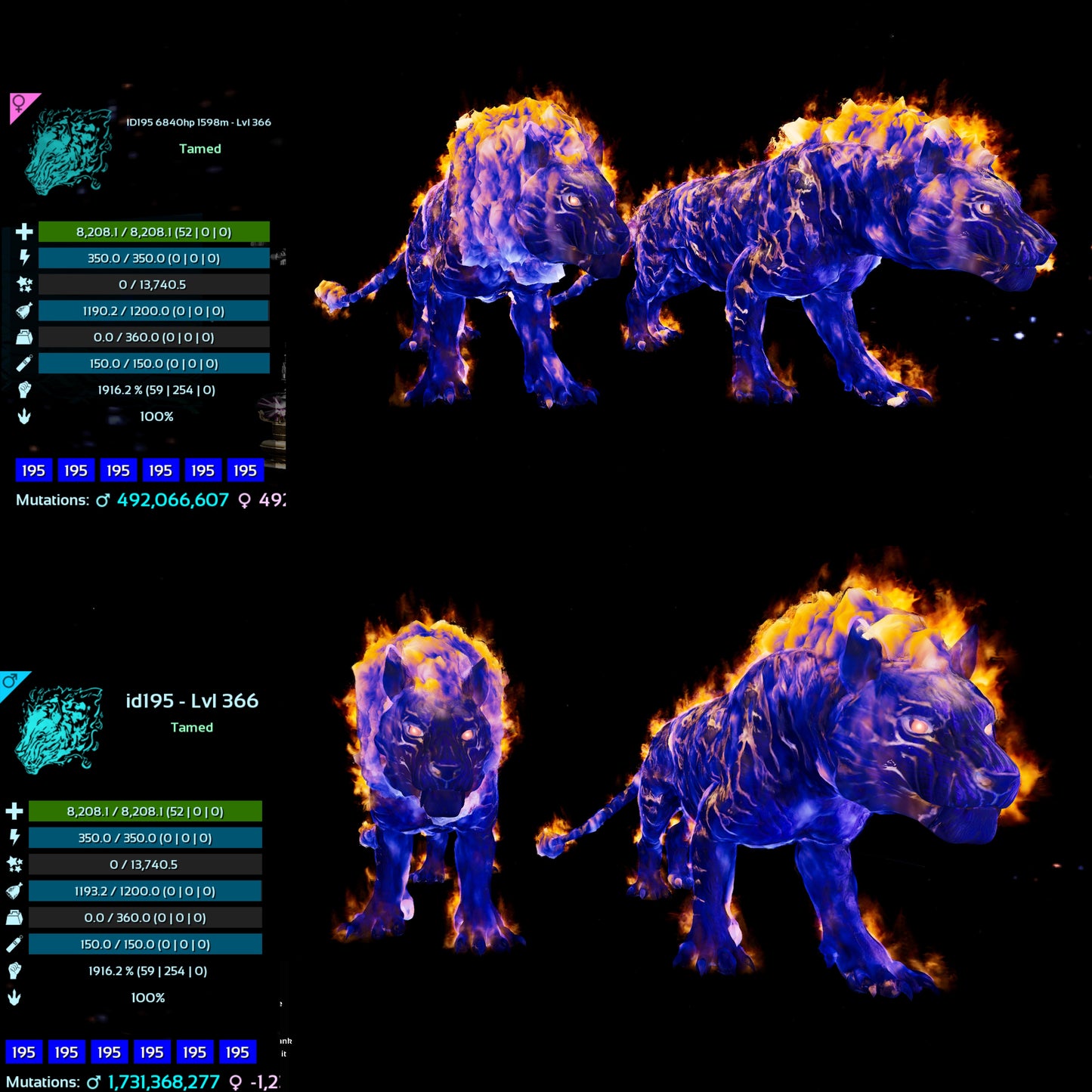 Pyromane / Pyro 1916% Melee DMG 366Lvl