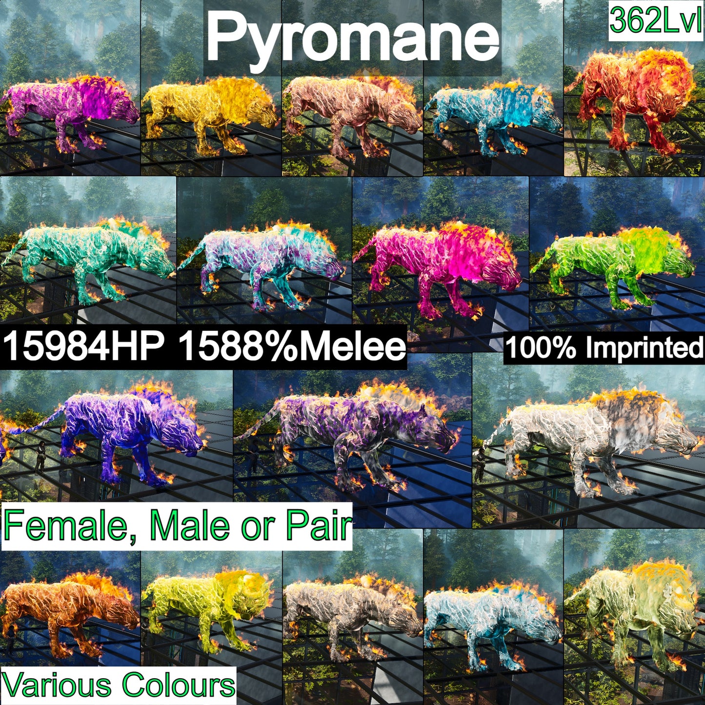 Pyromane Pyro 362Lvl 1588%dmg Imprinted🔥