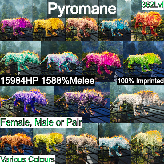 Pyromane Pyro 362Lvl 1588%dmg Imprinted🔥