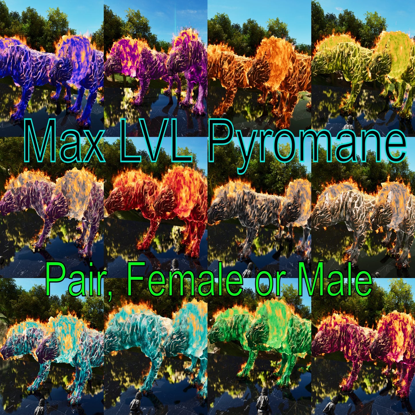 Pyromane / PYRO - MAX Level / SOLIDS
