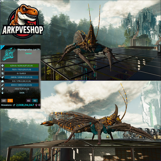 Rhyniognatha Rhynio High&Low Lvls