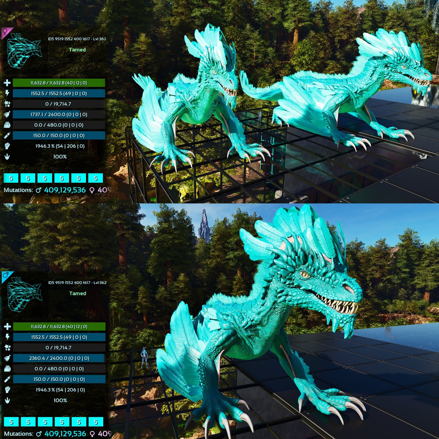 Rock Drake 1946%Melee Imprinted FINAL RELEASE Max