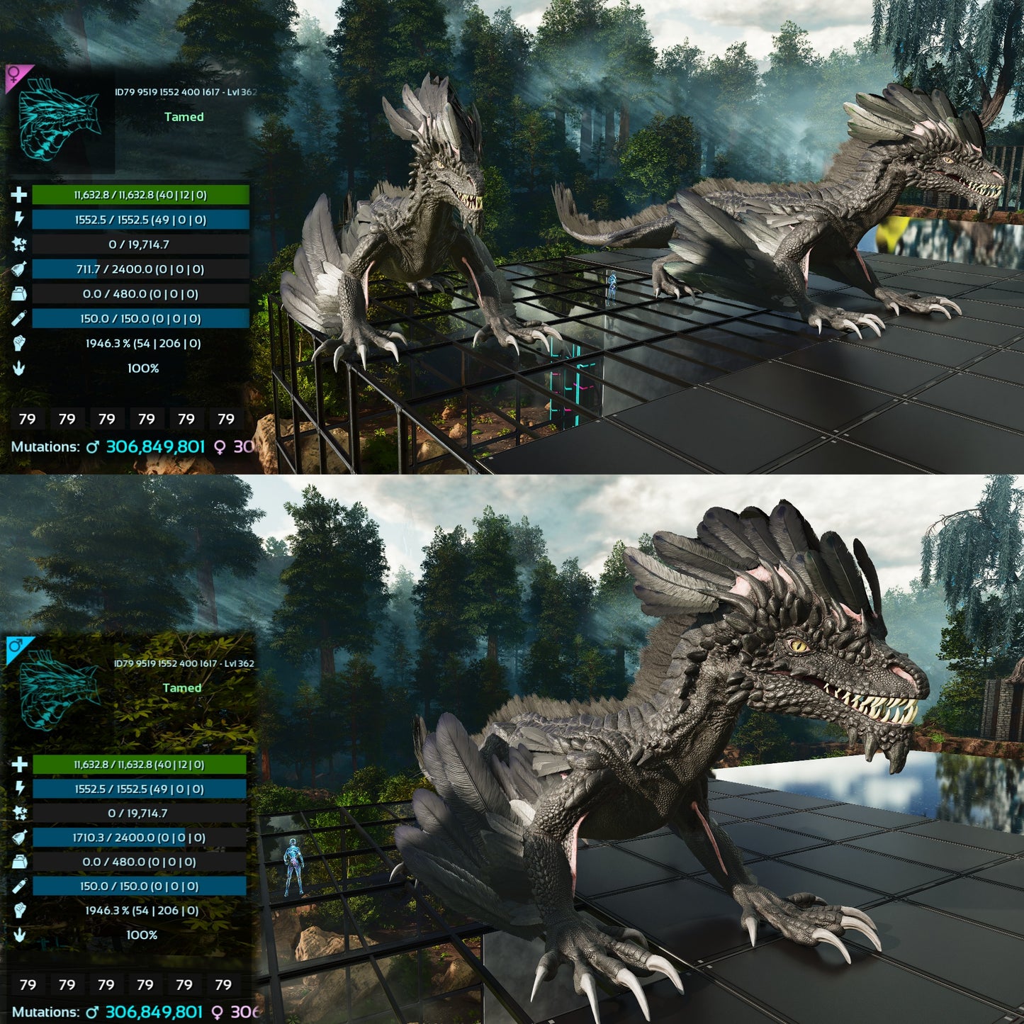 Rock Drake 1946%Melee Imprinted FINAL RELEASE Max