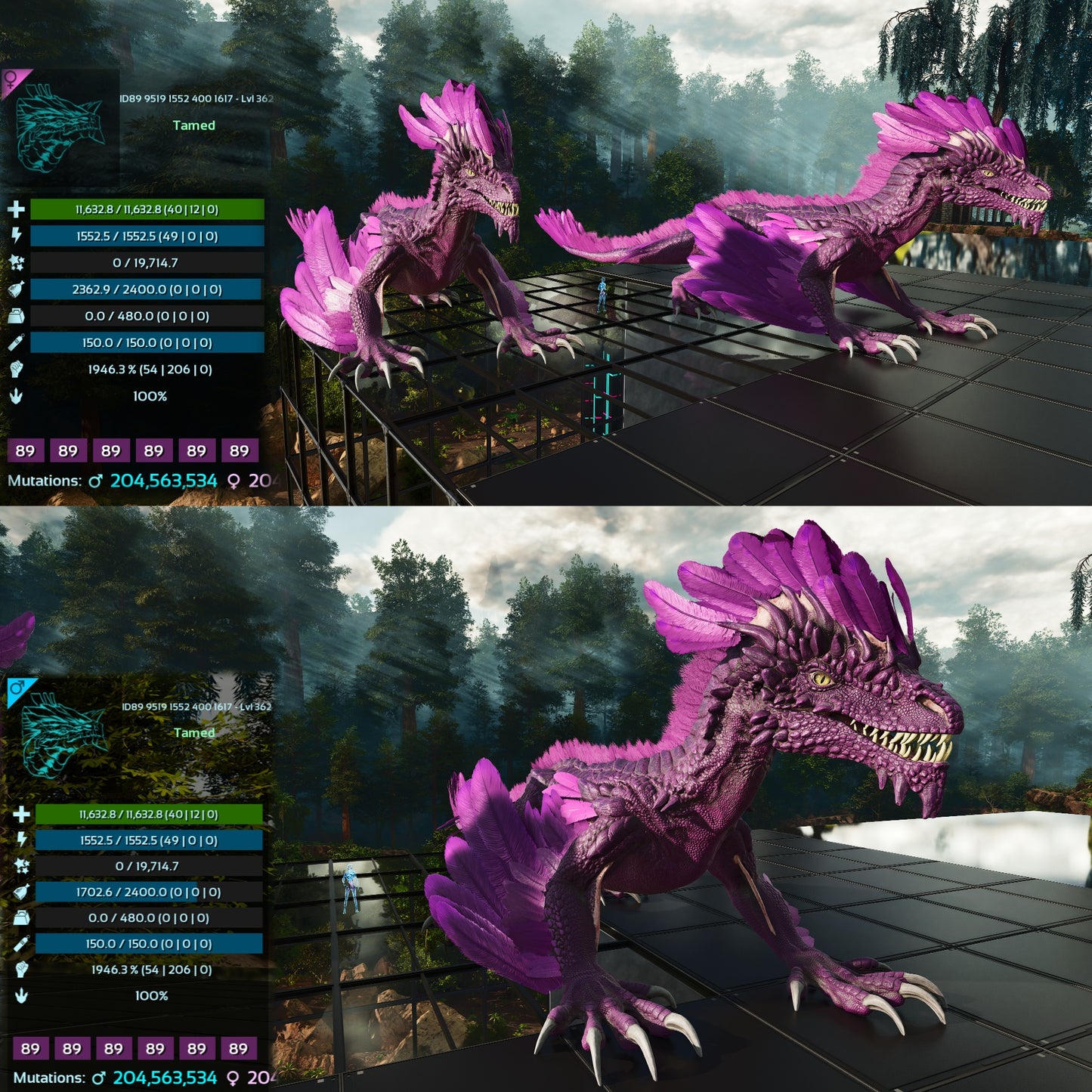 Rock Drake 1946%Melee Imprinted FINAL RELEASE Max