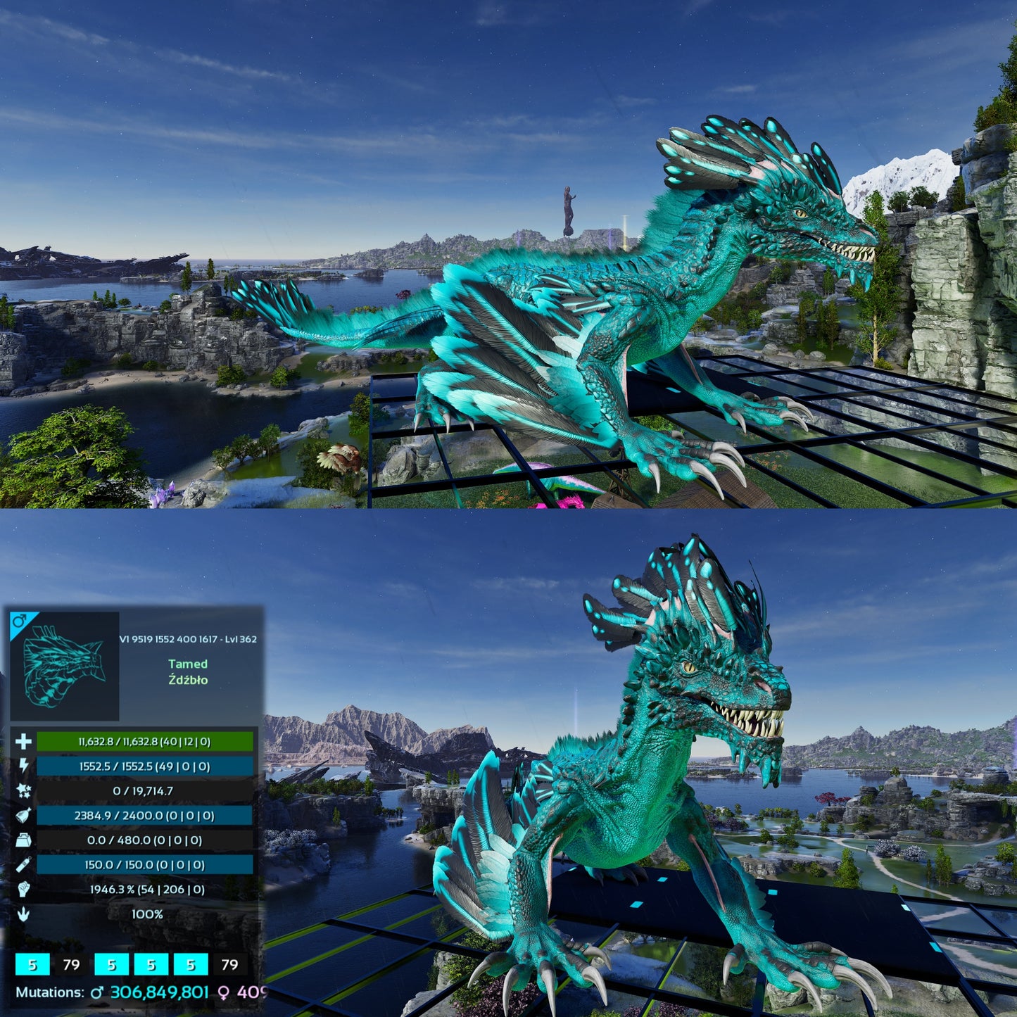 Rock Drake 1946%Melee Mix Colours Imprinted FINAL RELEASE Max