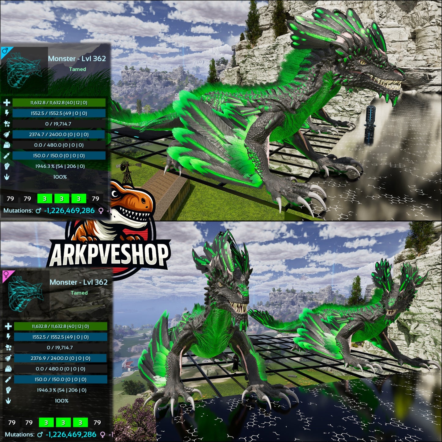 Rock Drake Mix Colours Top Stats