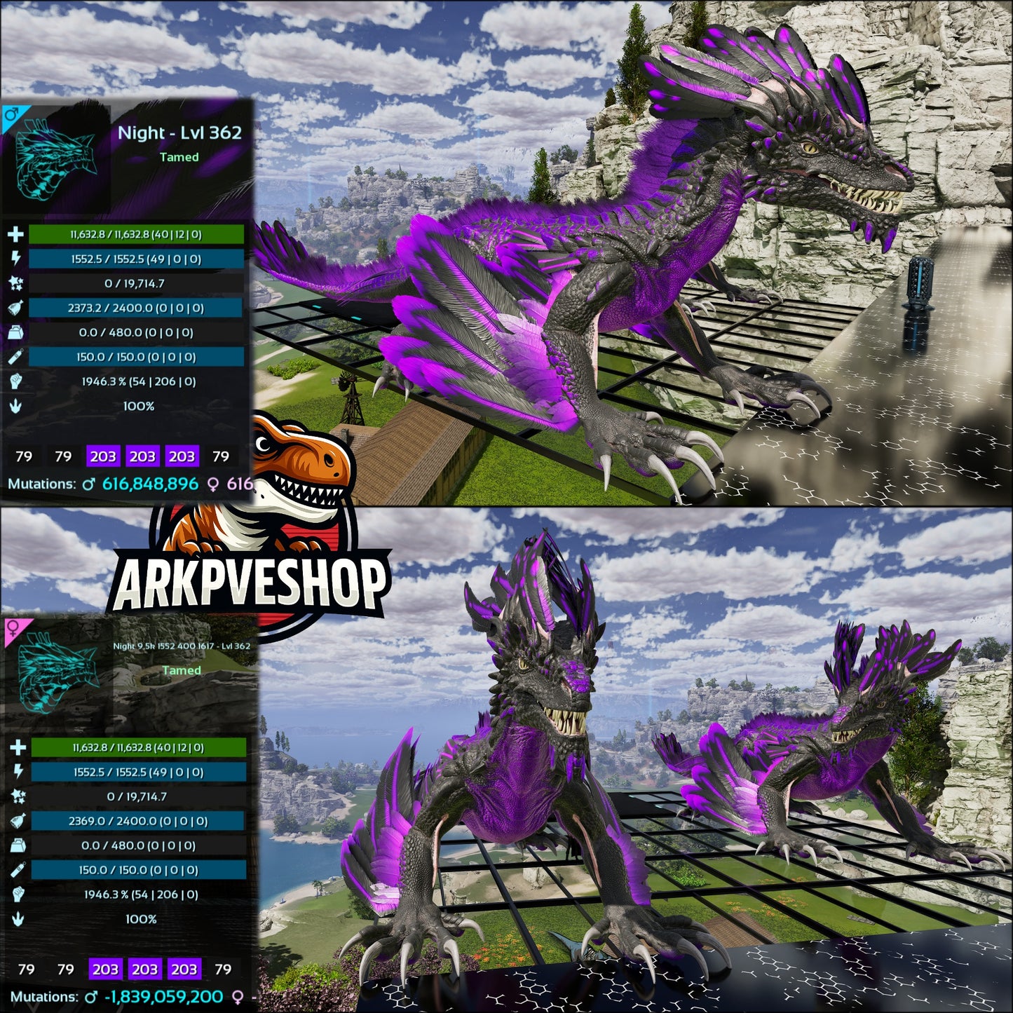 Rock Drake Mix Colours Top Stats