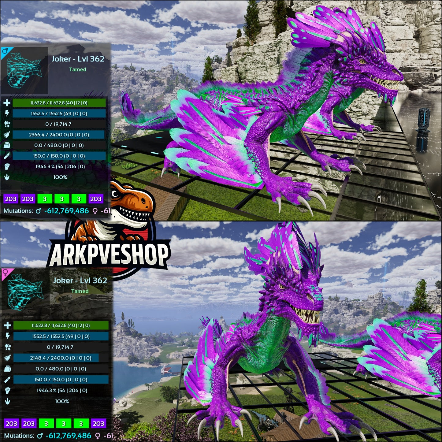Rock Drake Mix Colours Top Stats