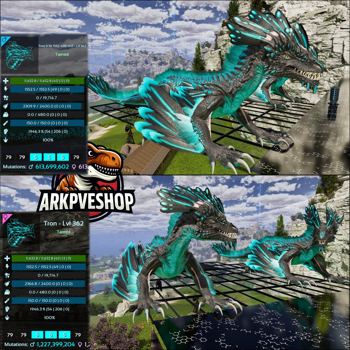 Rock Drake Mix Colours Top Stats