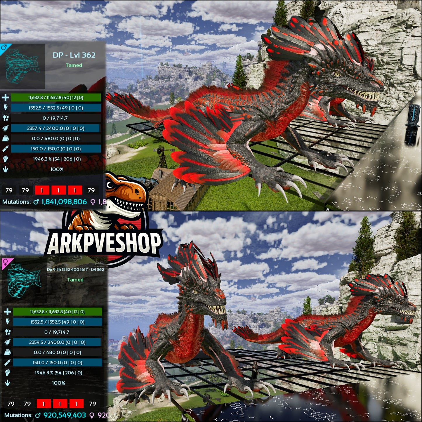 Rock Drake Mix Colours Top Stats