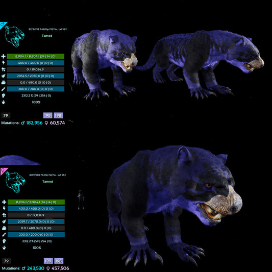 Thylacoleo / Thyla 2312%Melee Imprinted