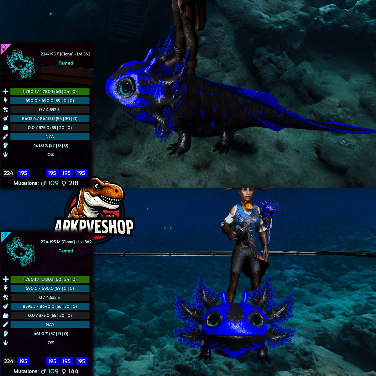 Tidepup Lvl 362 Clone