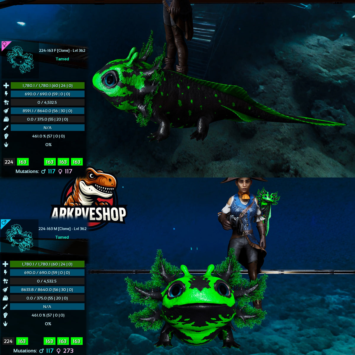 Tidepup Lvl 362 Clone