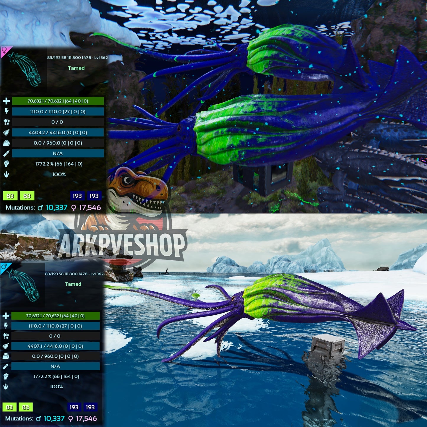 Tusoteuthis 1772%Melee Imprinted